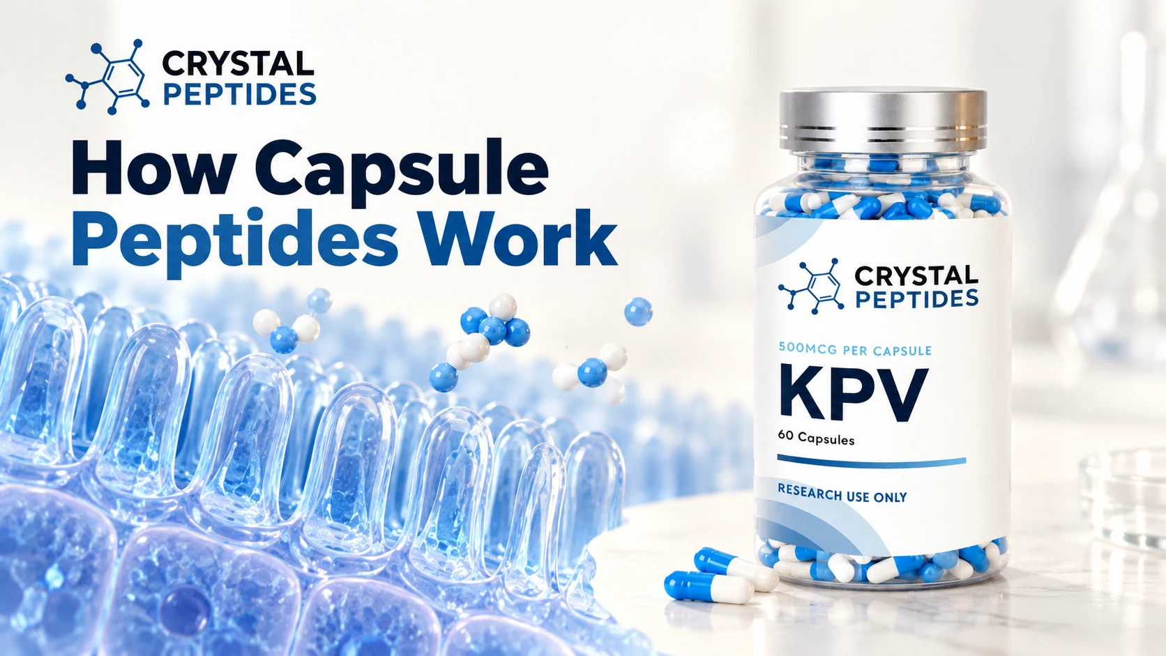 Fľaštička kapsúl KPV značky Crystal Peptides vedľa schematickej ilustrácie povrchu čreva.